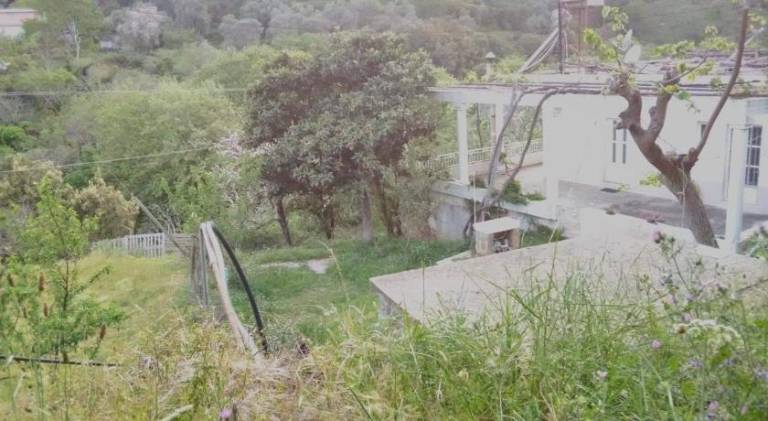 House with terrace & yard | Suitable for remote work | Pet-friendly in Kissamos