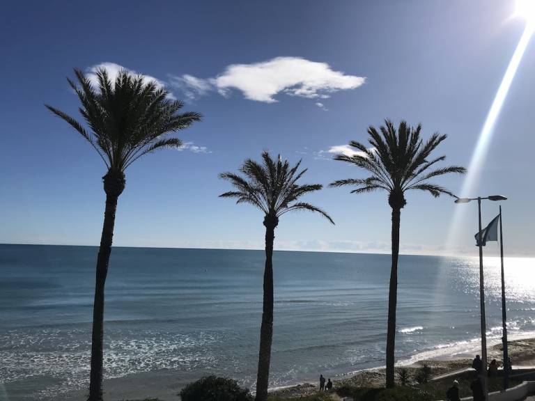 Apartamento Pilar de la Horadada