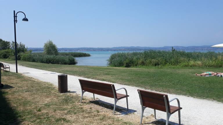 Holiday apartment with yard — photo 3