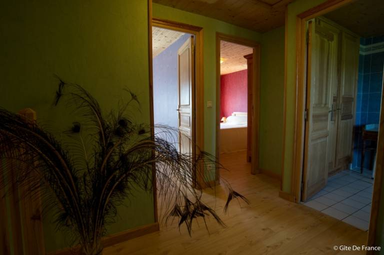 foto7