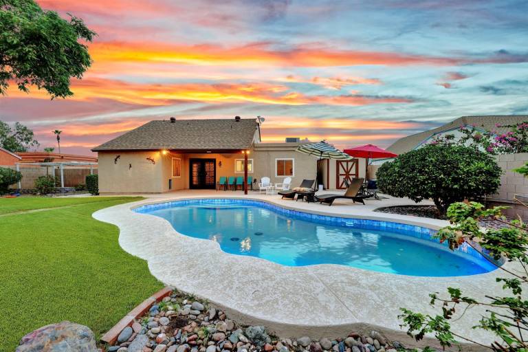 House Cactus Meadows