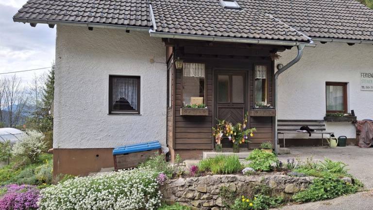 Ferienhaus  Spital am Pyhrn