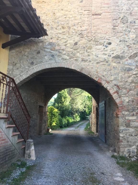 foto12