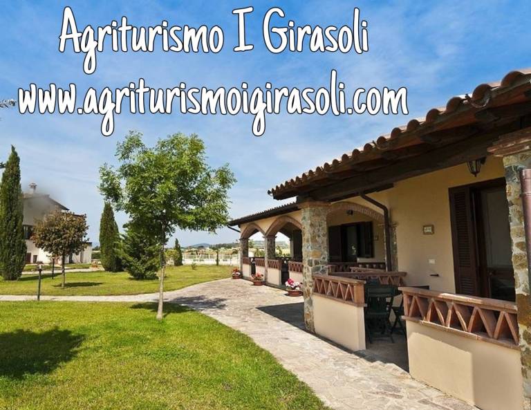 I Girasoli: La Mimosa — photo 2