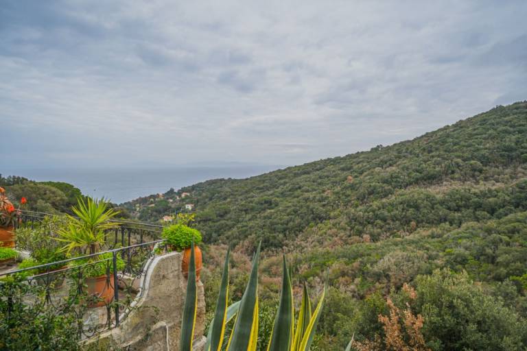Family-friendly rental apartment with terrace & BBQ | Pet-friendly — photo 3