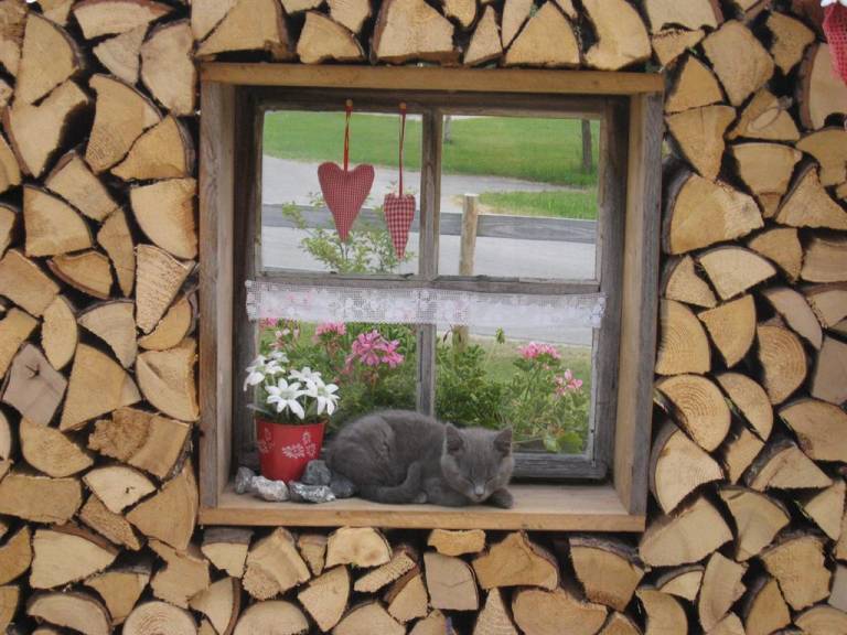 foto34