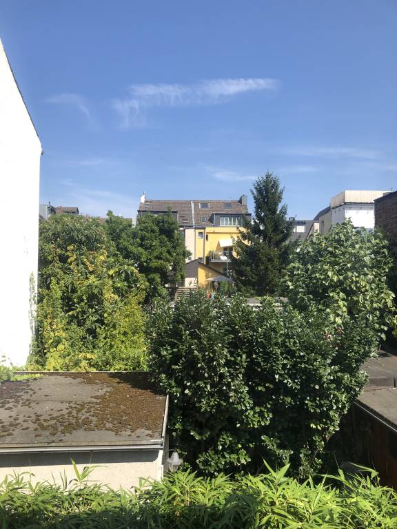 foto3