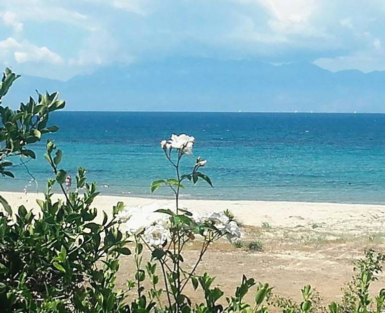 foto42
