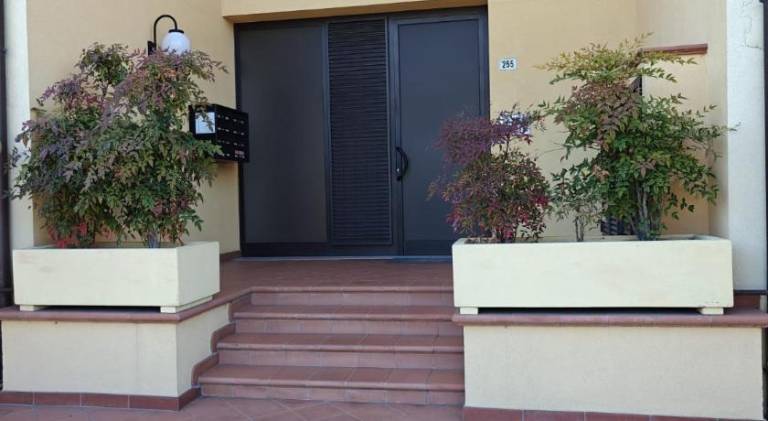 Nice apartment | Pets are welcome — photo 4