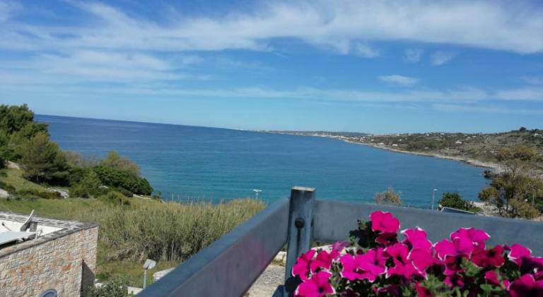 Lovely house | Pet-friendly in Patu