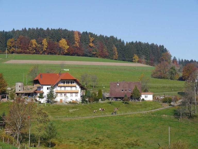 foto12
