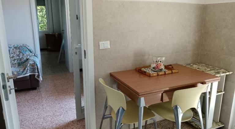 House | Dogs allowed — photo 3
