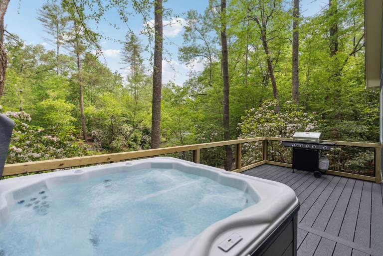 Cabin  Dawsonville