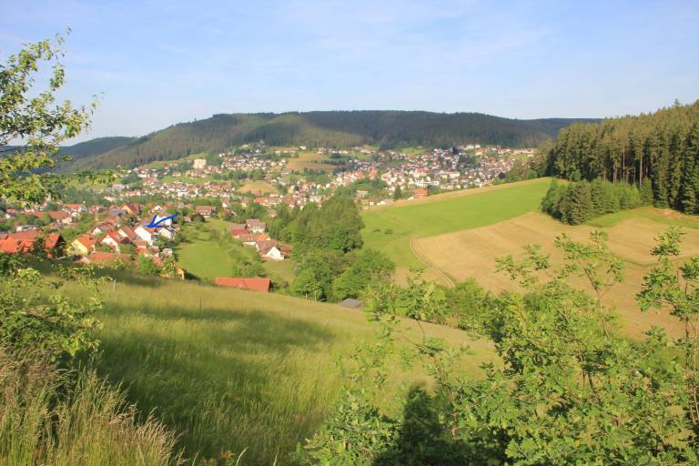 foto17