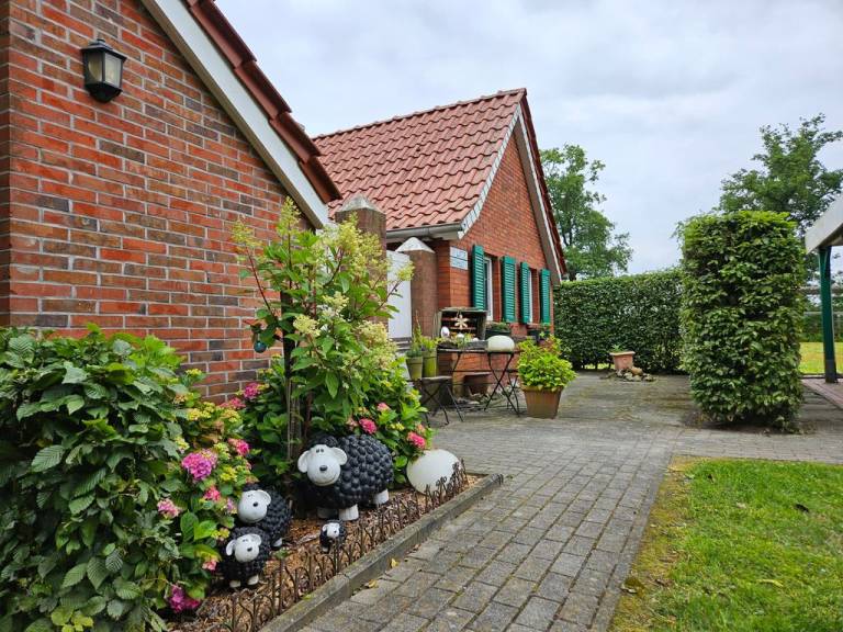 foto20