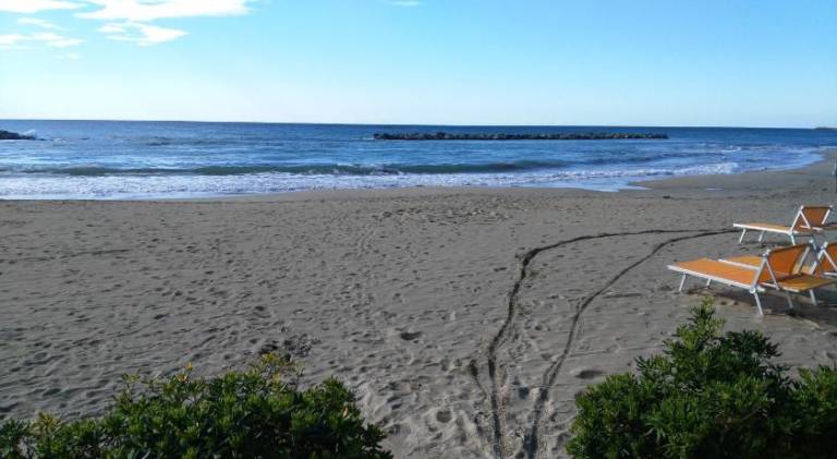 Beautiful holiday apartment | Close to the beach | Pets allowed — photo 3