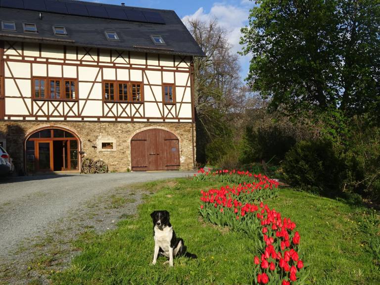 Ferienwohnung Zwönitz