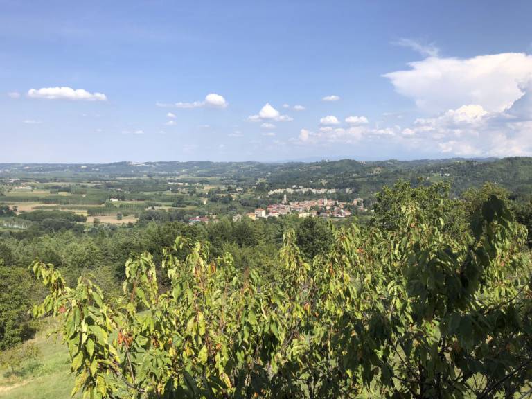 foto1