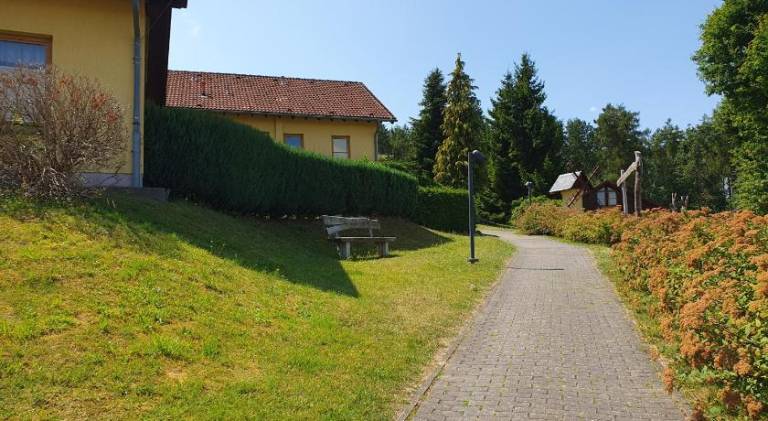 foto46