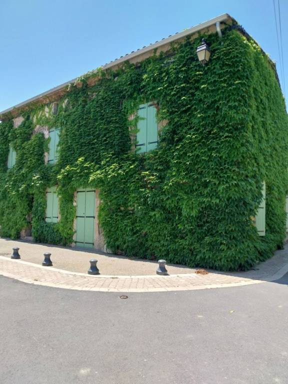 Maison de vacances Olonzac