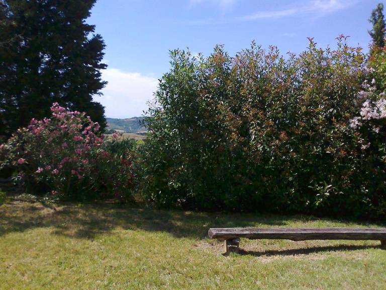 foto14