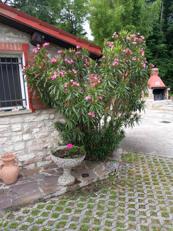Chalet with garden, terrace & BBQ | Garden view — photo 4