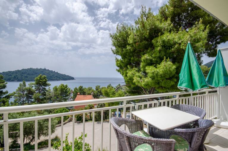 Apartman Brna