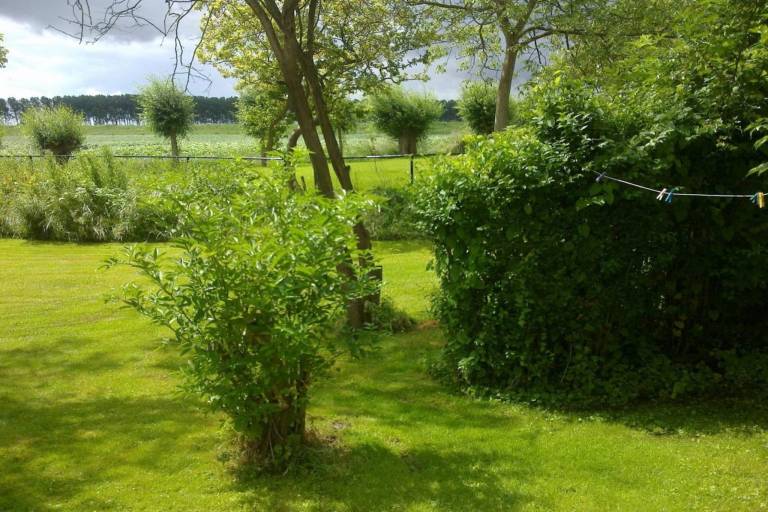 foto38