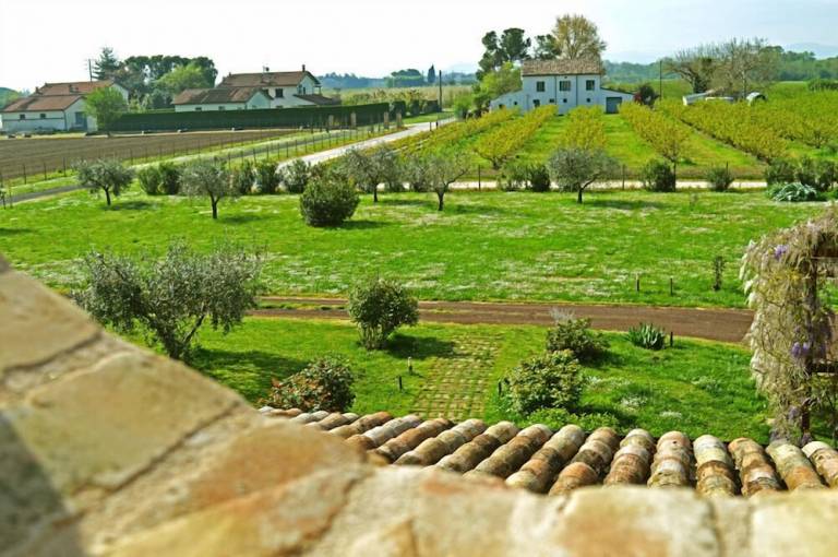 Bed & Breakfast Cesena