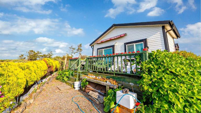 Jeju Kkothyanggi Badasori Pension