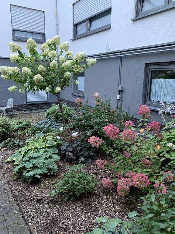 foto28
