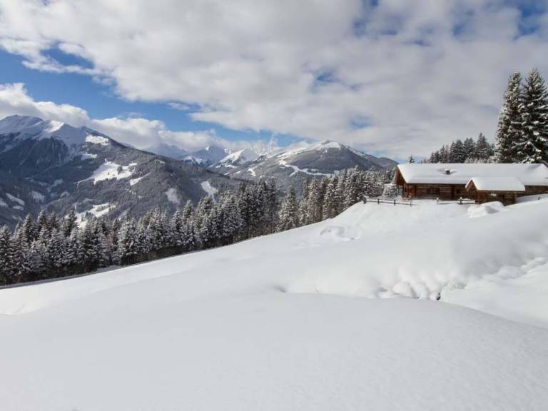 Remberghütte in Viehhofen — photo 2