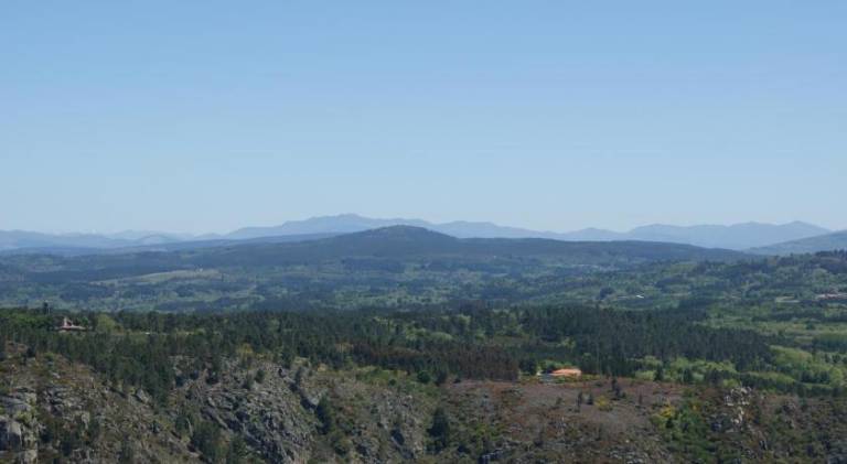 foto40