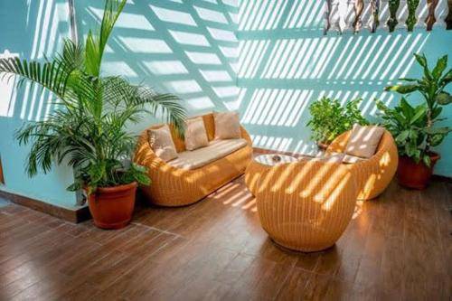 Appartement Pamandzi