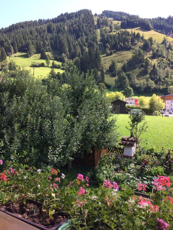 foto26