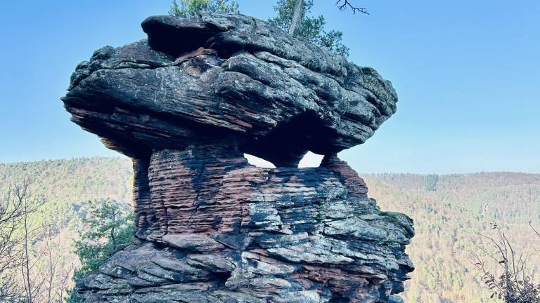 Ferienwohnung Leinsweiler
