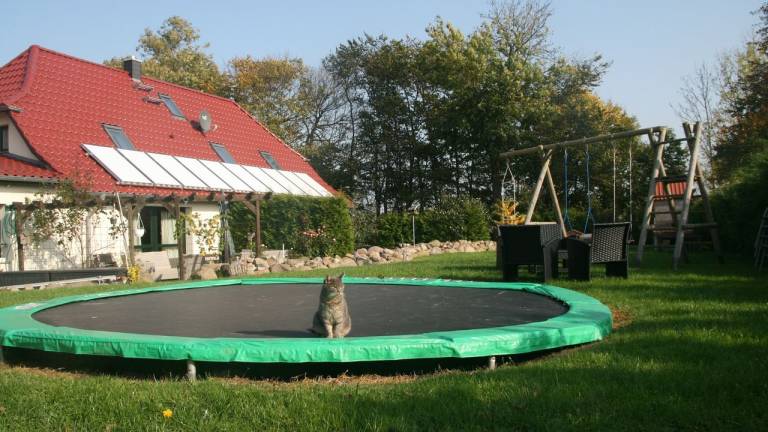 Ferienwohnung  Bastorf