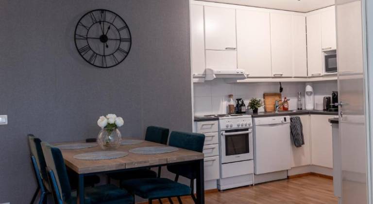 Apartment | Next to Arktikum Science Museum | Pets allowed — photo 3