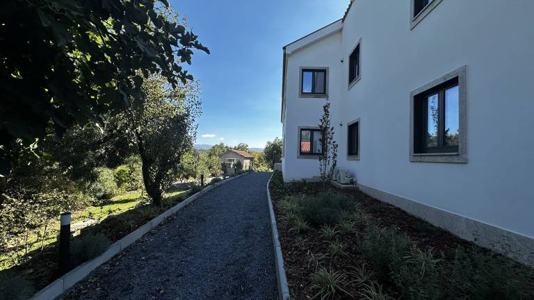 foto31