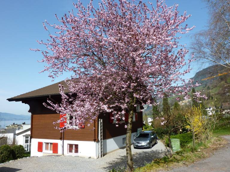 foto20