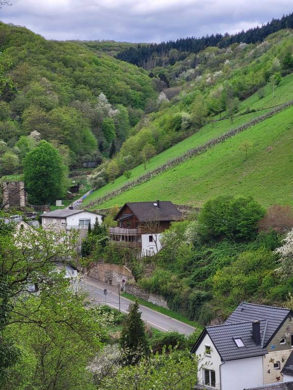 Ferienwohnung Bacharach
