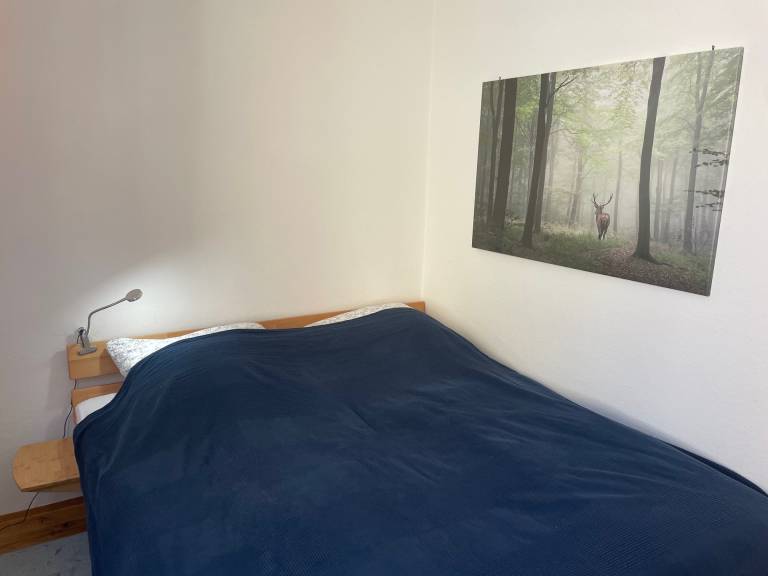 Fully equipped rental apartment | Good for workation | Pets are welcome — photo 2