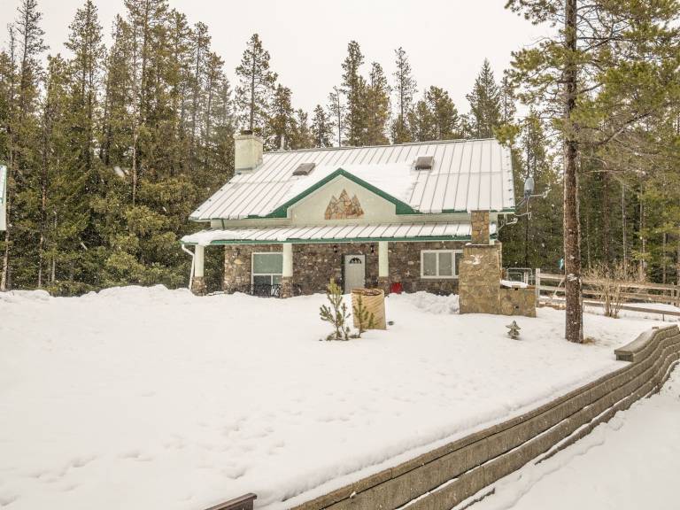 Cabin Coleman