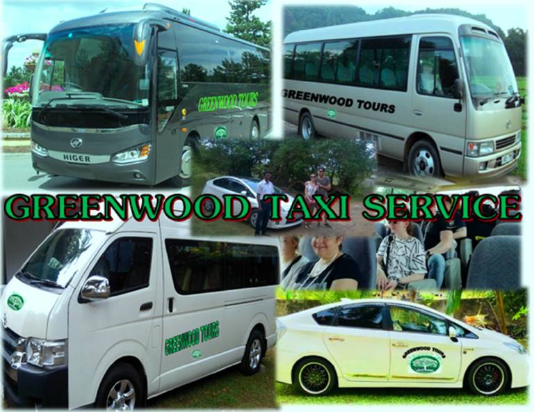 foto12