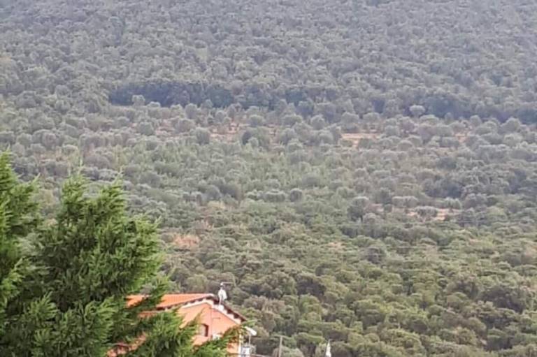 Bed & Breakfast  San Giovanni Rotondo