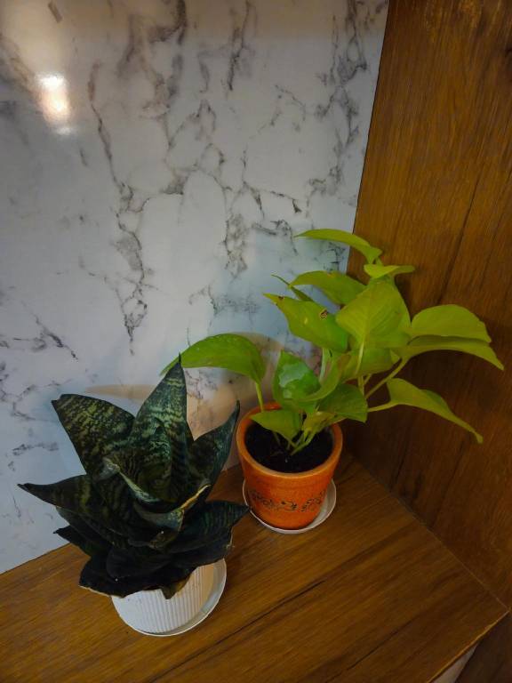foto35