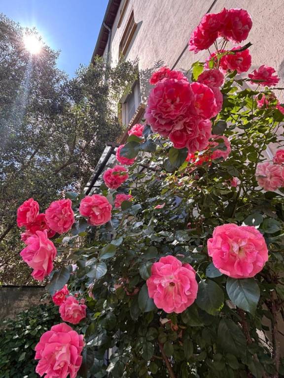 foto17