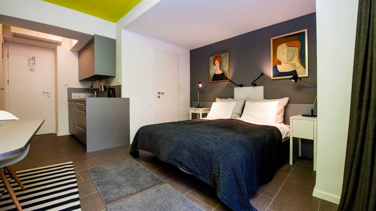 Fully equipped pleasant studio with terrace | Pet-friendly in Rovinj