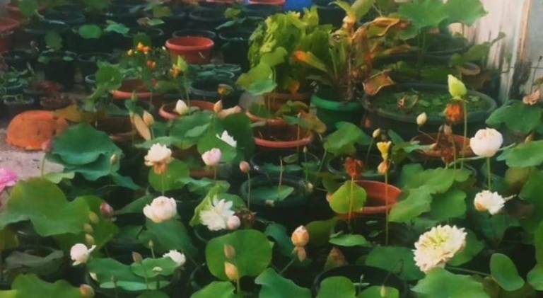 foto16