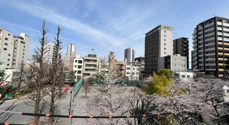 The Asakusa Townhouse — photo 5